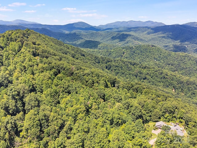 2523 Creston Dr Unit T-24, Black Mountain, NC 28711 - photo 10