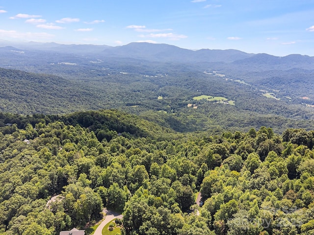2523 Creston Dr Unit T-24, Black Mountain, NC 28711 - photo 11