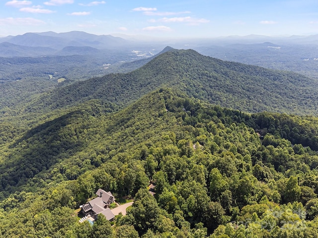 2523 Creston Dr Unit T-24, Black Mountain, NC 28711 - photo 12