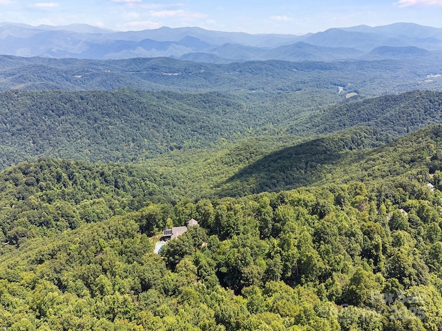 2523 Creston Dr Unit T-24, Black Mountain, NC 28711 - photo 13