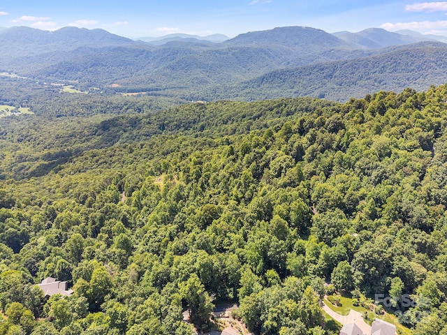 2523 Creston Dr Unit T-24, Black Mountain, NC 28711 - photo 14