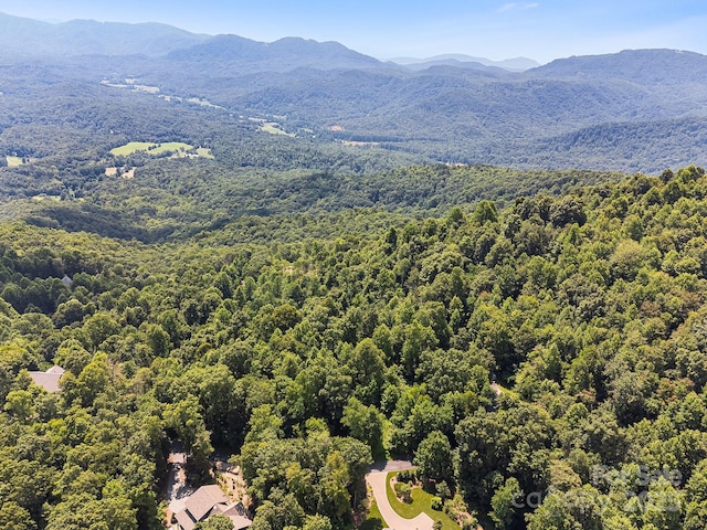 2523 Creston Dr Unit T-24, Black Mountain, NC 28711 - photo 15