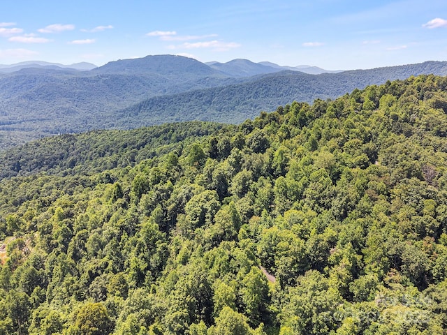 2523 Creston Dr Unit T-24, Black Mountain, NC 28711 - photo 17