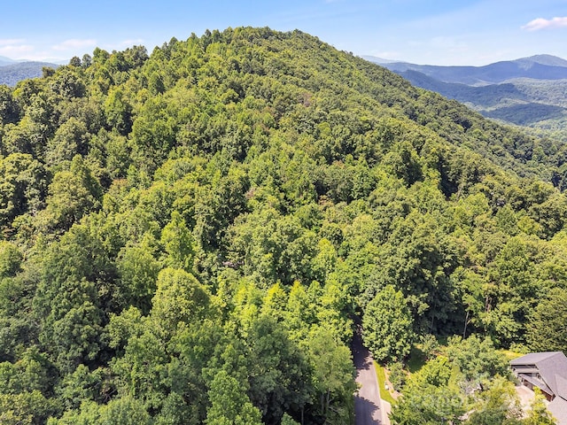2523 Creston Dr Unit T-24, Black Mountain, NC 28711 - photo 18
