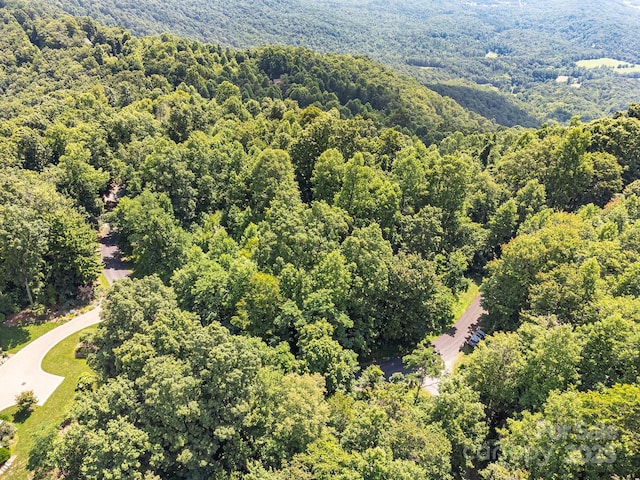 2523 Creston Dr Unit T-24, Black Mountain, NC 28711 - photo 19