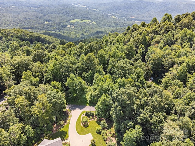 2523 Creston Dr Unit T-24, Black Mountain, NC 28711 - photo 20