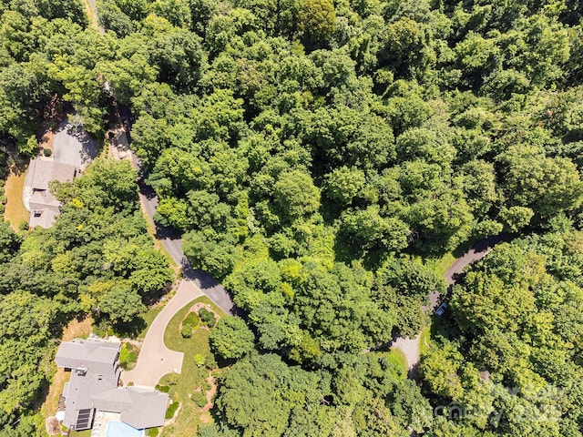 2523 Creston Dr Unit T-24, Black Mountain, NC 28711 - photo 21
