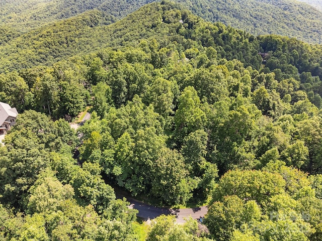 2523 Creston Dr Unit T-24, Black Mountain, NC 28711 - photo 26