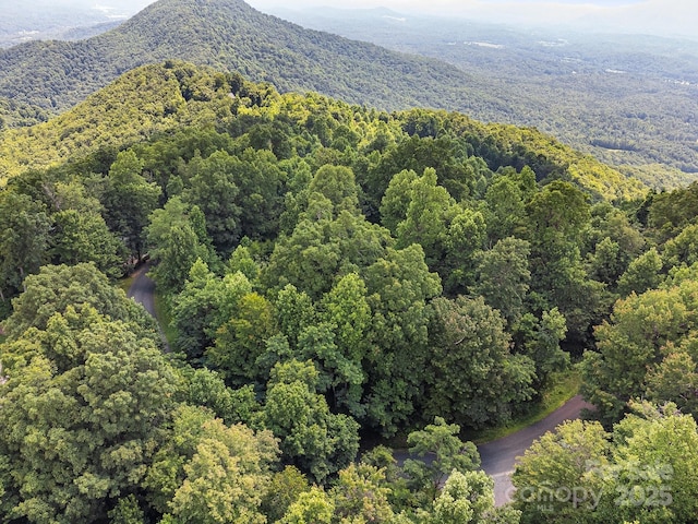 2523 Creston Dr Unit T-24, Black Mountain, NC 28711 - photo 27