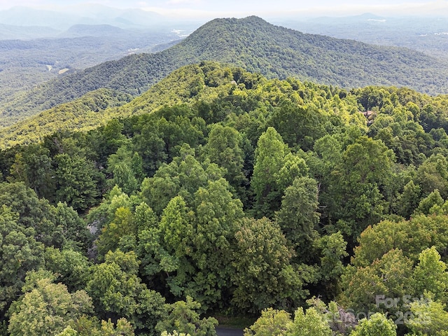 2523 Creston Dr Unit T-24, Black Mountain, NC 28711 - photo 28