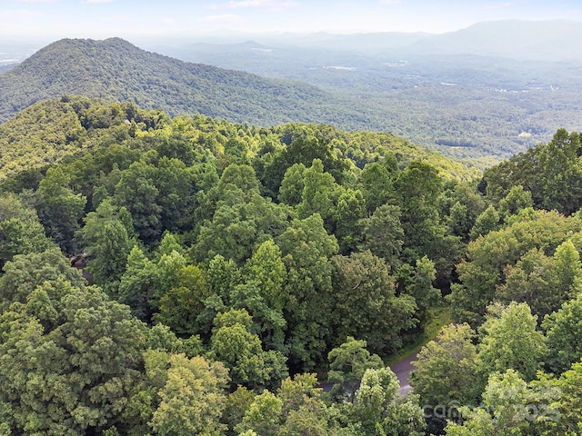2523 Creston Dr Unit T-24, Black Mountain, NC 28711 - photo 29