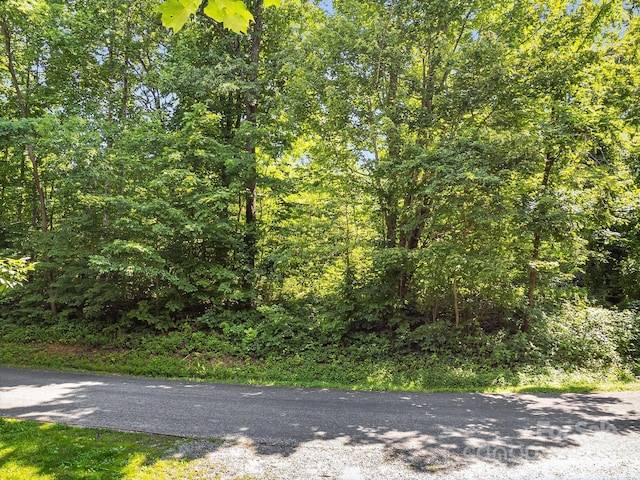 2523 Creston Dr Unit T-24, Black Mountain, NC 28711 - photo 30