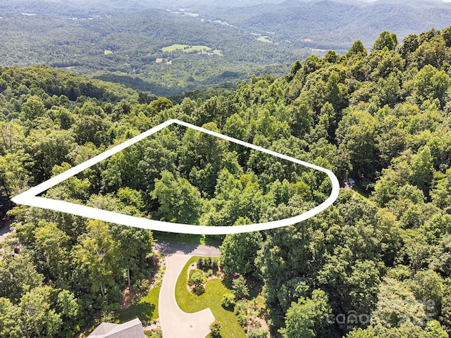 2523 Creston Dr Unit T-24, Black Mountain, NC 28711 - photo 1