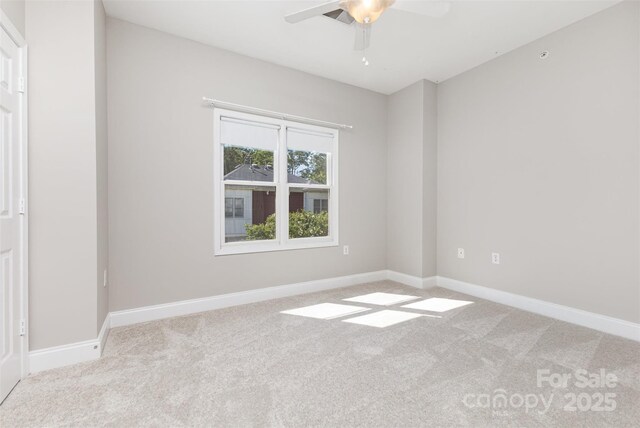 769 Grandin Rd, Charlotte, NC 28208 - photo 10