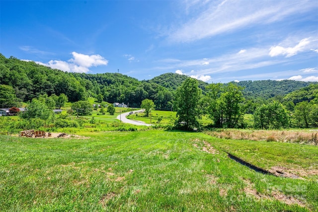 31 Bailey Mathes Farm Ln, Newland, NC 28657 - photo 42