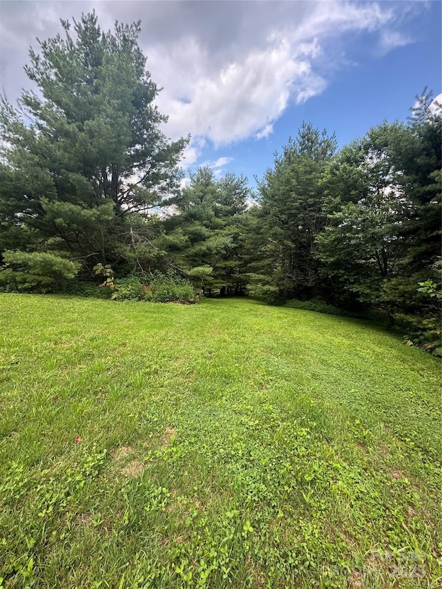 TBD Turbyfill Rd, Newland, NC 28657 - photo 4