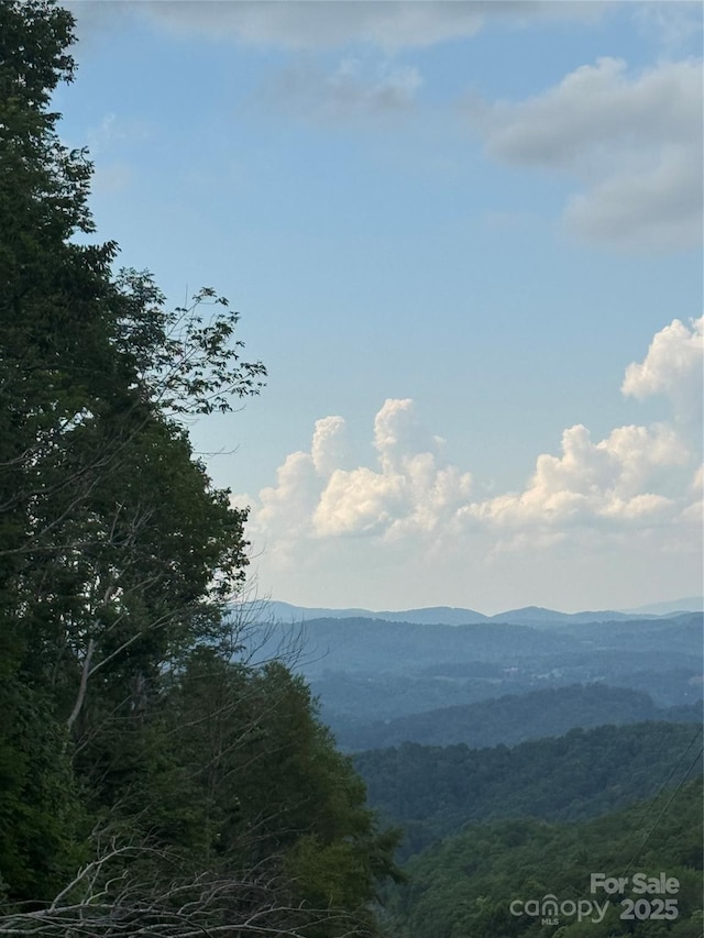 TBD Turbyfill Rd, Newland, NC 28657 - photo 5
