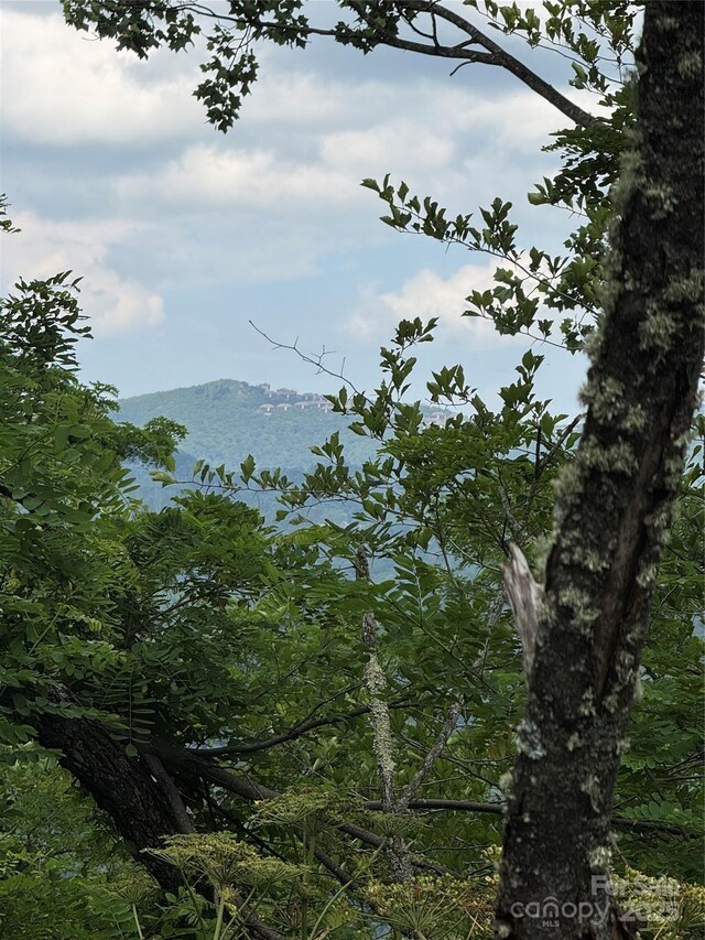 TBD Turbyfill Rd, Newland, NC 28657 - photo 9