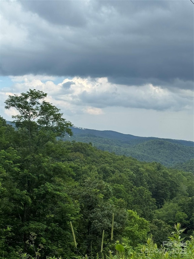 TBD Turbyfill Rd, Newland, NC 28657 - photo 11