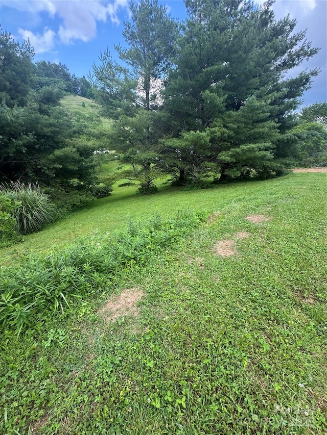 TBD Turbyfill Rd, Newland, NC 28657 - photo 16