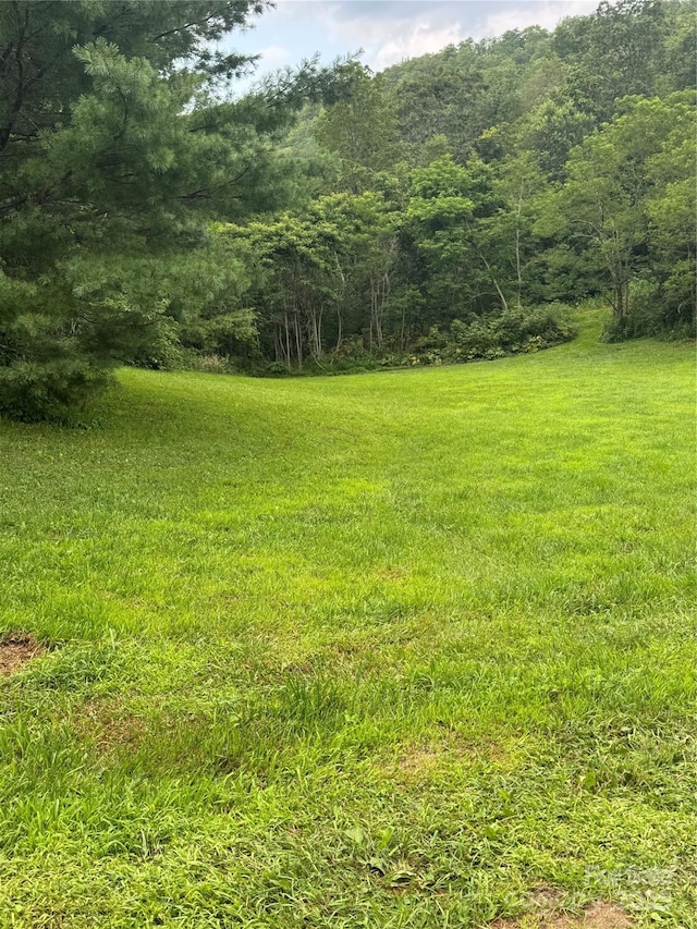 TBD Turbyfill Rd, Newland, NC 28657 - photo 18