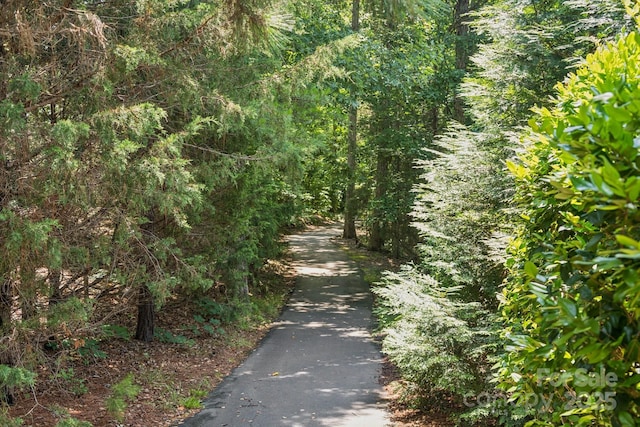 3519 Mcpherson St, Waxhaw, NC 28173 - view of street featuring a view of trees