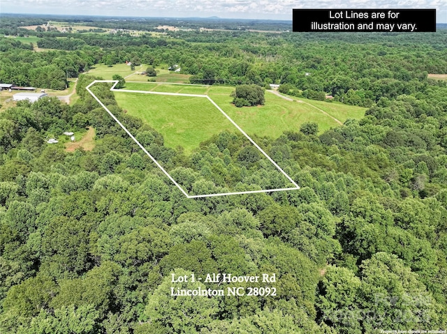 0000 Alf Hoover Rd Unit 1, Lincolnton, NC 28092 - photo 4