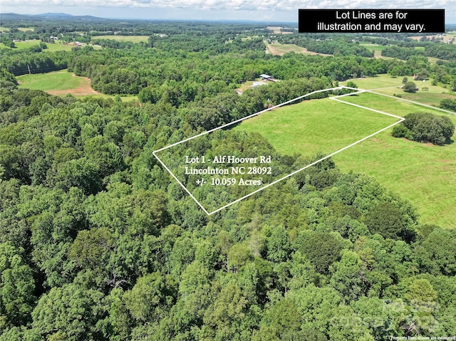 0000 Alf Hoover Rd Unit 1, Lincolnton, NC 28092 - photo 5
