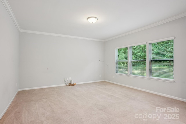 9403 Fernspray Rd, Charlotte, NC 28215 - photo 14