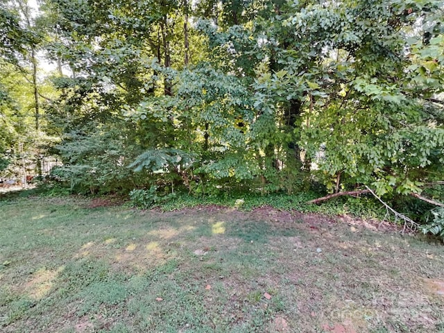 1108 Brookwood Dr, Stanley, NC 28164 - view of green lawn with a view of trees