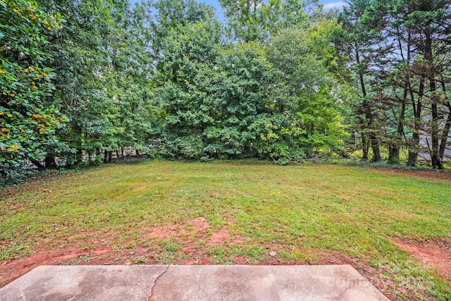 1108 Brookwood Dr, Stanley, NC 28164 - photo 25