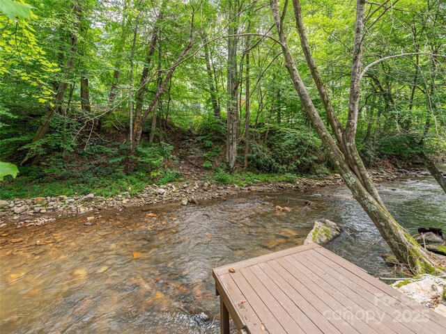15 Breezy Creek Ln, Maggie Valley, NC 28751 - photo 22