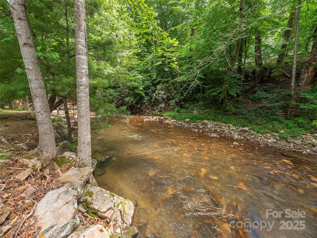 15 Breezy Creek Ln, Maggie Valley, NC 28751 - photo 23