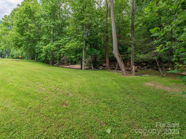 15 Breezy Creek Ln, Maggie Valley, NC 28751 - photo 25