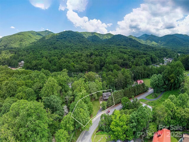15 Breezy Creek Ln, Maggie Valley, NC 28751 - photo 33