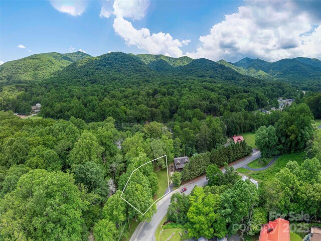 15 Breezy Creek Ln, Maggie Valley, NC 28751 - photo 34