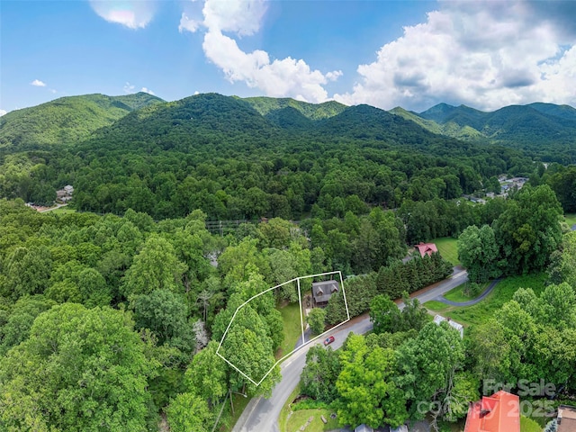 15 Breezy Creek Ln, Maggie Valley, NC 28751 - photo 36