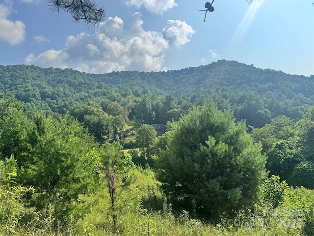 140 Wallins Way, Mars Hill, NC 28754 - view of mountain backdrop with a forest