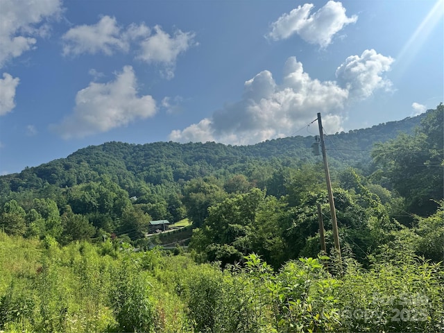 140 Wallins Way, Mars Hill, NC 28754 - mountain view featuring a forest