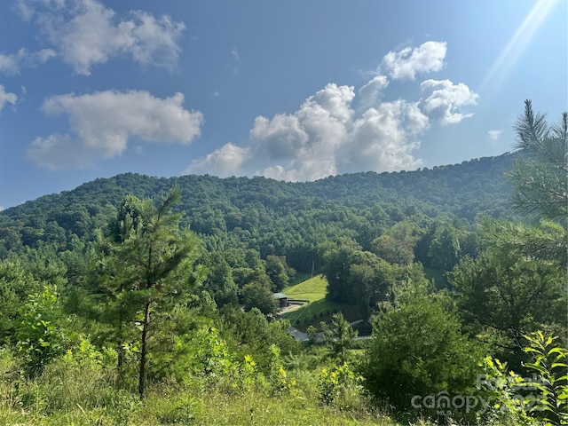 140 Wallins Way, Mars Hill, NC 28754 - view of mountain background featuring a forest