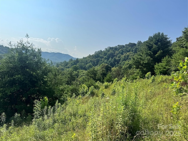 140 Wallins Way, Mars Hill, NC 28754 - mountain view featuring a heavily wooded area
