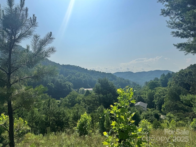 140 Wallins Way, Mars Hill, NC 28754 - view of mountain background featuring a forest