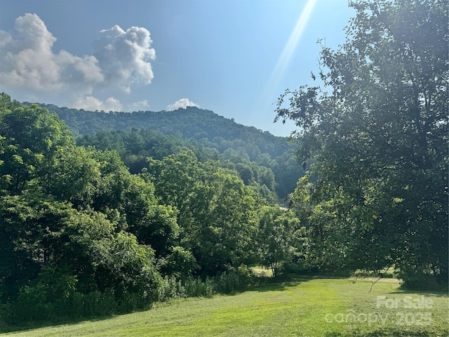 140 Wallins Way, Mars Hill, NC 28754 - mountain view featuring a forest