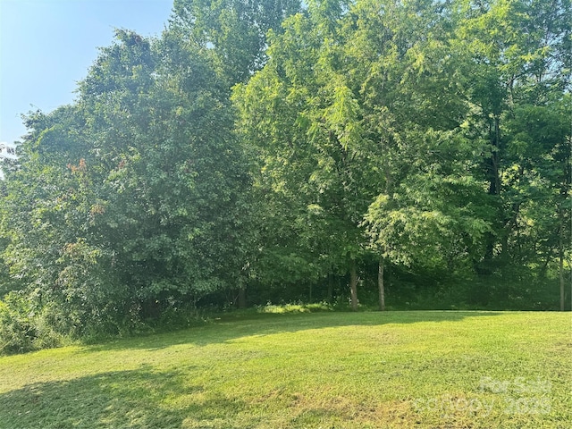 140 Wallins Way, Mars Hill, NC 28754 - view of grassy yard