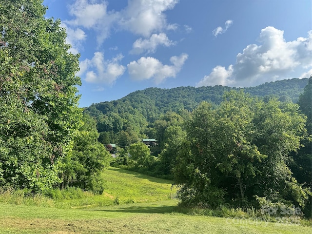 140 Wallins Way, Mars Hill, NC 28754 - view of mountain background with a forest