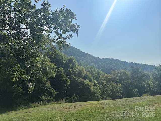 140 Wallins Way, Mars Hill, NC 28754 - view of mountain background with a forest