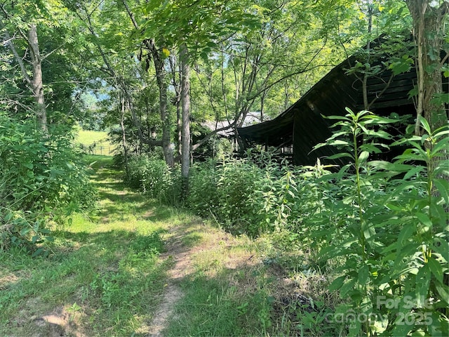 140 Wallins Way, Mars Hill, NC 28754 - view of nature