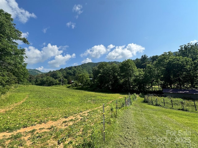 140 Wallins Way, Mars Hill, NC 28754 - view of yard featuring a view of rural / pastoral area and a forest view