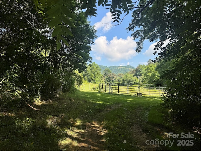 140 Wallins Way, Mars Hill, NC 28754 - view of yard featuring a view of rural / pastoral area