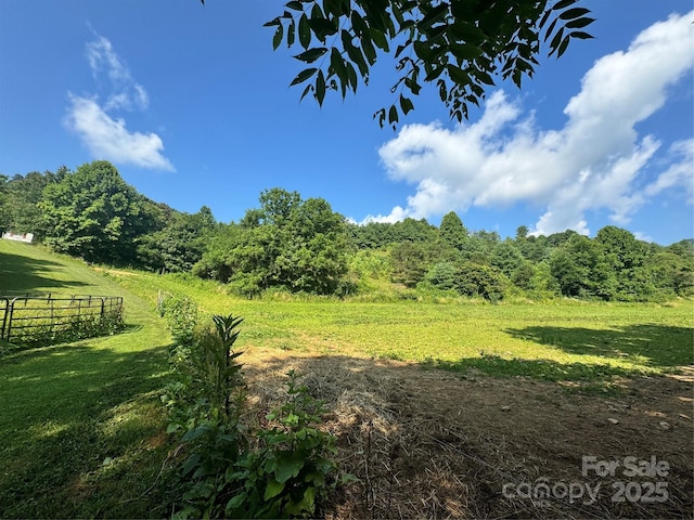 140 Wallins Way, Mars Hill, NC 28754 - view of nature with rural landscape